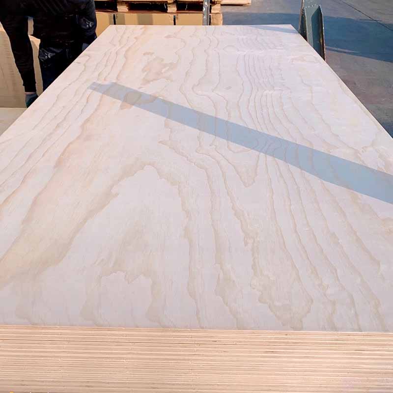 Pine Plywood - Image 3