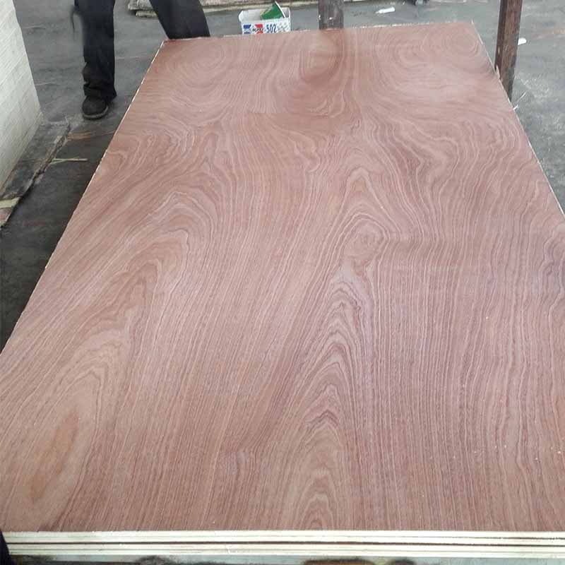 Sapele Plywood - Image 4