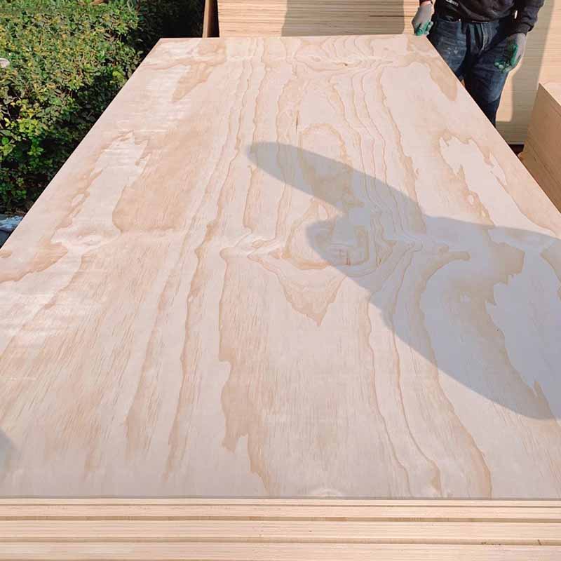 Pine Plywood - Image 4