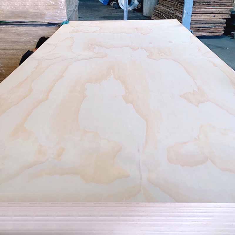 Pine Plywood - Image 5