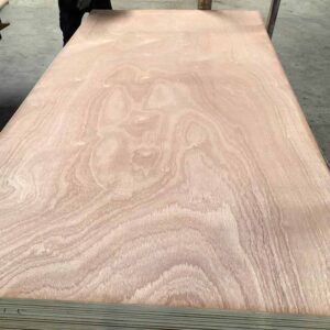 Sapele Plywood