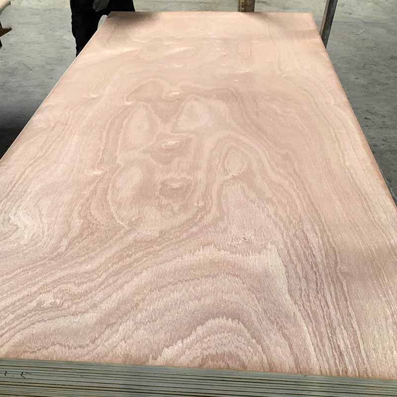 Sapele Plywood