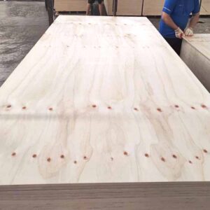 Structural/CDX plywood